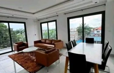 Appartement 3 pièces moderne - Haie Vive